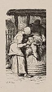 Woman Shearing Sheep by Jacques Adrien Lavieille