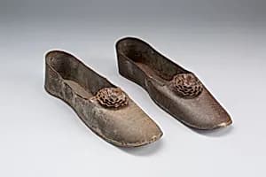 Women's Shoes (Anniversary Tin) by Artist unknown