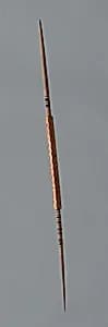 Wooden Spindle by Unknown