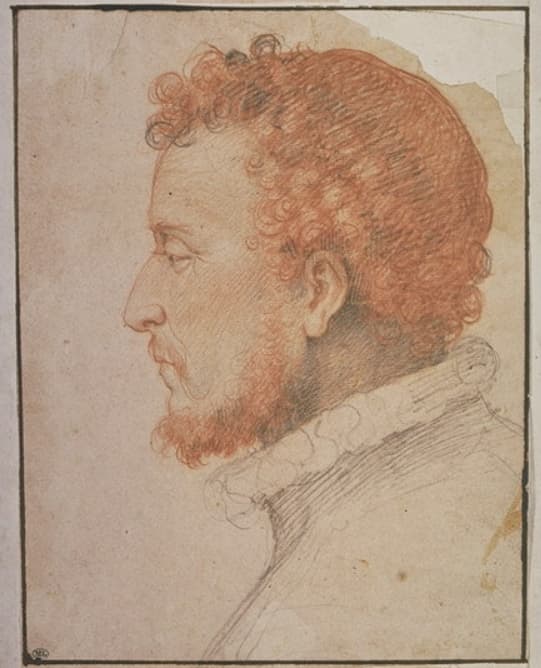 Portrait of Taddeo Zuccaro
