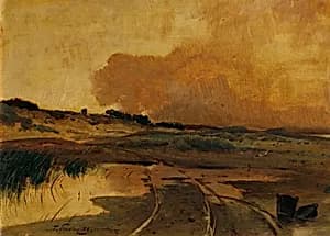 Abend im Moor
