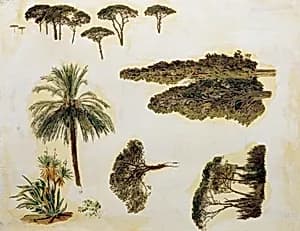Baumstudien aus Rom by Ferdinand Georg Waldmüller