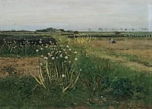Blühendes Zwiebelfeld by Eugen Jettel