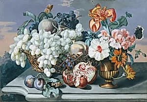 Blumen und Früchte