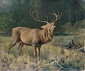 Brunfthirsch by Franz Xaver von Pausinger