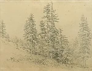 Edeltann by Joseph Martin Höger
