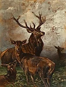 Hirsch und Hirschkühe by Franz Xaver von Pausinger