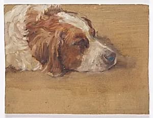 Hundekopf (Studie) by Walther Gamerith