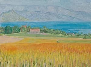 Kornfeld am Attersee by Walther Gamerith