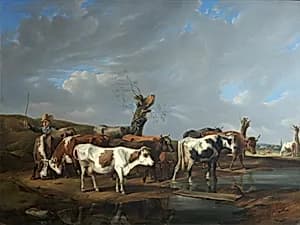 Kuhherde