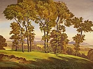 Landschaft mit Bäumen by Emil Ernst Heinsdorff