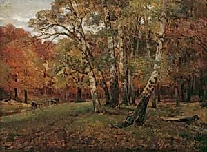 Landschaft mit Birken
