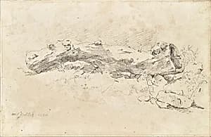 Liegender hohler Baumstamm by Friedrich August Mathias Gauermann