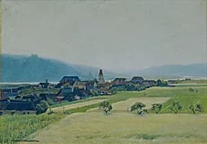 Morgen an der Donau