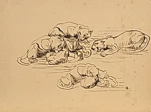 Raufende Sundapanther by Franz Barwig der Ältere