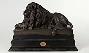 Ruhender Löwe