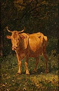 Semmelfarbene Kuh by Carl Rudolf Huber