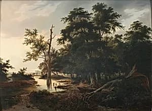 Waldlandschaft