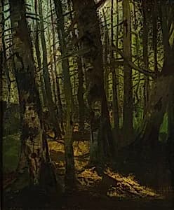Waldlichtung by Anton Müller-Wischin