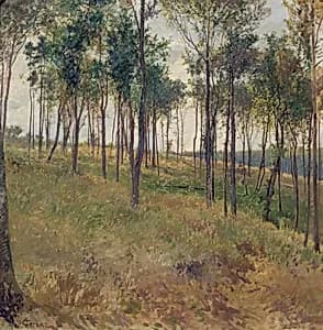Waldmotiv bei Kritzendorf