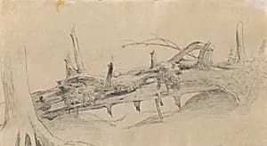Wurzelwerk, umgestürzter Baum by Peter Krafft