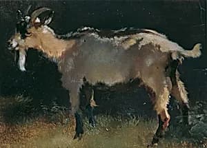 Ziege by Anton Schrödl