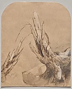 A Blasted Tree (recto)