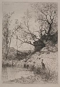 A Pond
