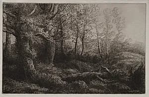 A Woodland Study by Alphonse Legros (French, 1837–1911)