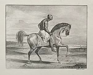 African on Horseback by Eugène Delacroix (French, 1798–1863)