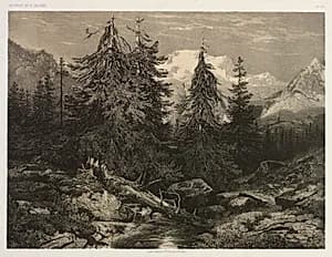 Alpine Stream by Alexandre Calame (Swiss, 1810–1864)