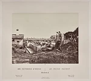 An Indigo Factory, Allahabad