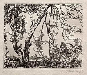 Apple Tree