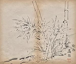 Bamboo by Unknown Artist