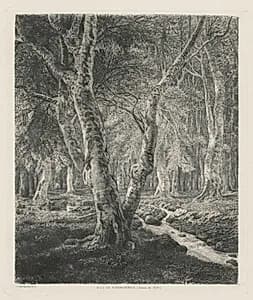 Bois de Pierrefonds by Adolphe Théodore Jules Martial Potémont (French, 1828–1883)