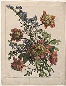 Bouquet