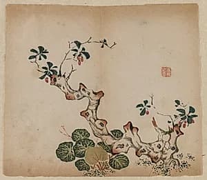 Branching Stump by Unknown Artist