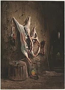 Carcasses by Alexandre-Gabriel Decamps (French, 1803–1860)