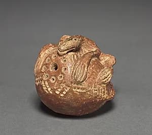 Chameleon by Unknown Artist