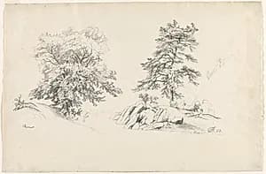 Chestnut and Pine by David Johnson (American, 1827–1908)