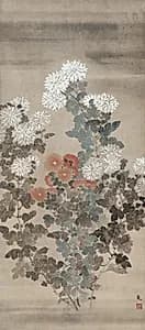 Chrysanthemums