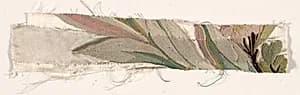 Coverlet Fragment