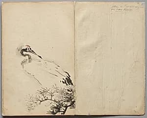 Crane from Sketch Album