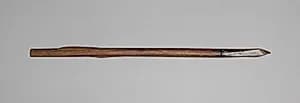 Crossbow Bolt by Unknown Artist