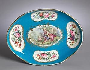 Dish