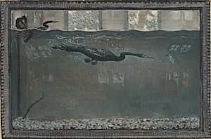 Diving Cormorant