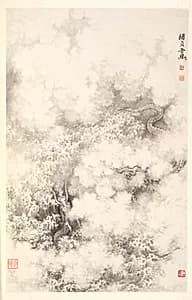 Dragon amid Clouds