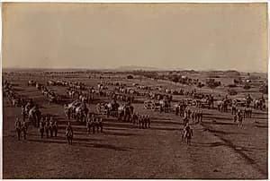 Elephant Battery on Parade by Raja Deen Dayal (Indian, 1844–1905)