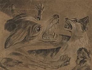 Fighting Animals
