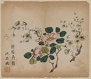 Flowering Prunus by Unknown Artist